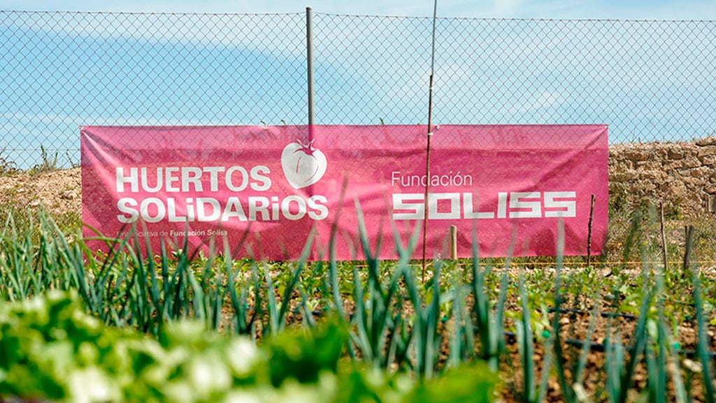 Los Huertos Solidarios de la Fundación Soliss siguen incrementando su producción y demanda